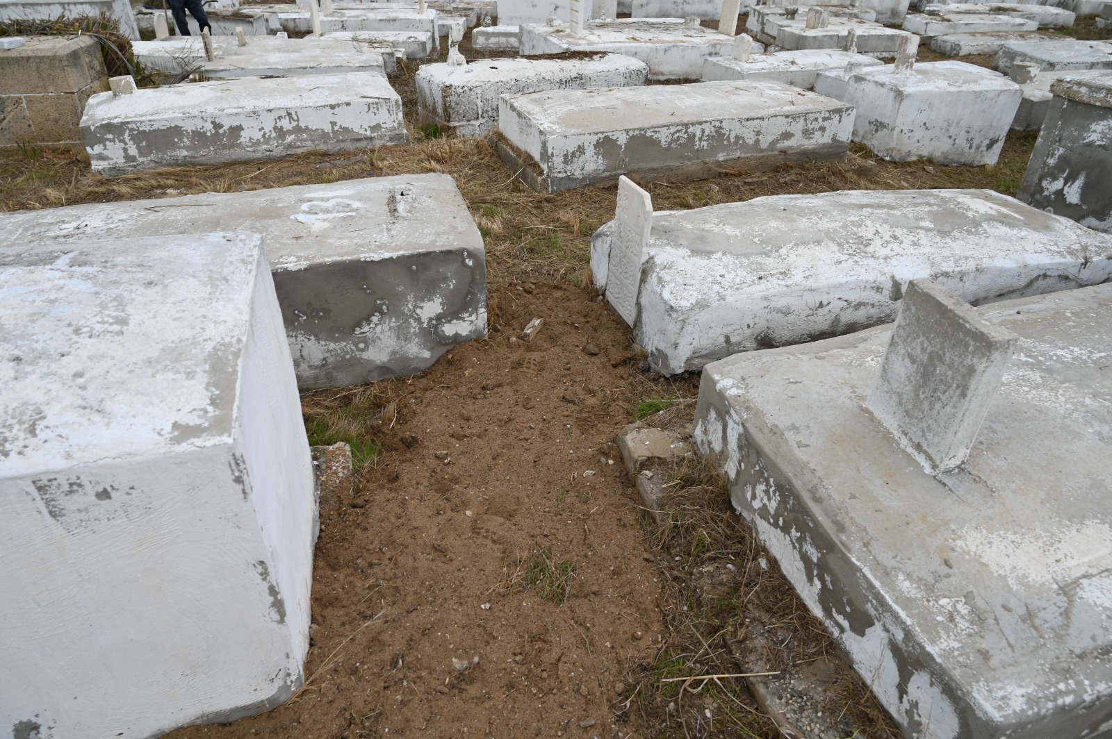 WhatsApp Image 2022-11-30 at 3.24.48 PM.jpeg